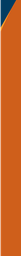 RS6-115_57 x 8_73