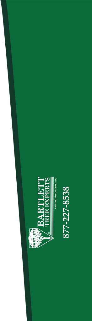 RS1-102_01 x 29_00