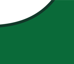 RS2-45_00 x 39_00