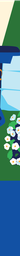 RS6_Illustration1-FYP-115_57 x 8_73