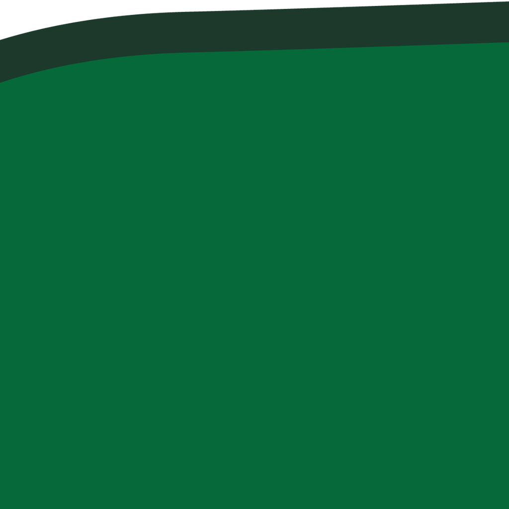 RS01-19_66 x 19_66
