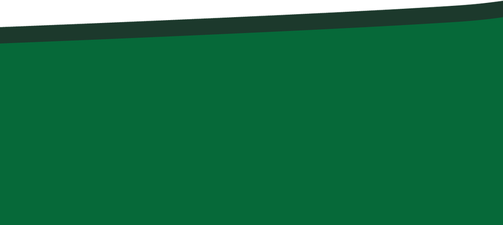 RS03-48_87 x 21_79