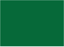 CSRS05-30_00 x 22_00