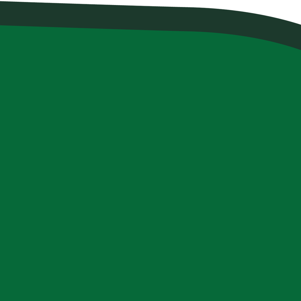 CS01-19_66 x 19_66