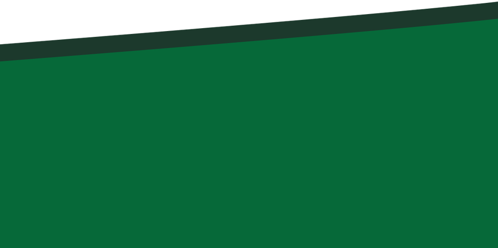 RS03-48_38 x 24_03