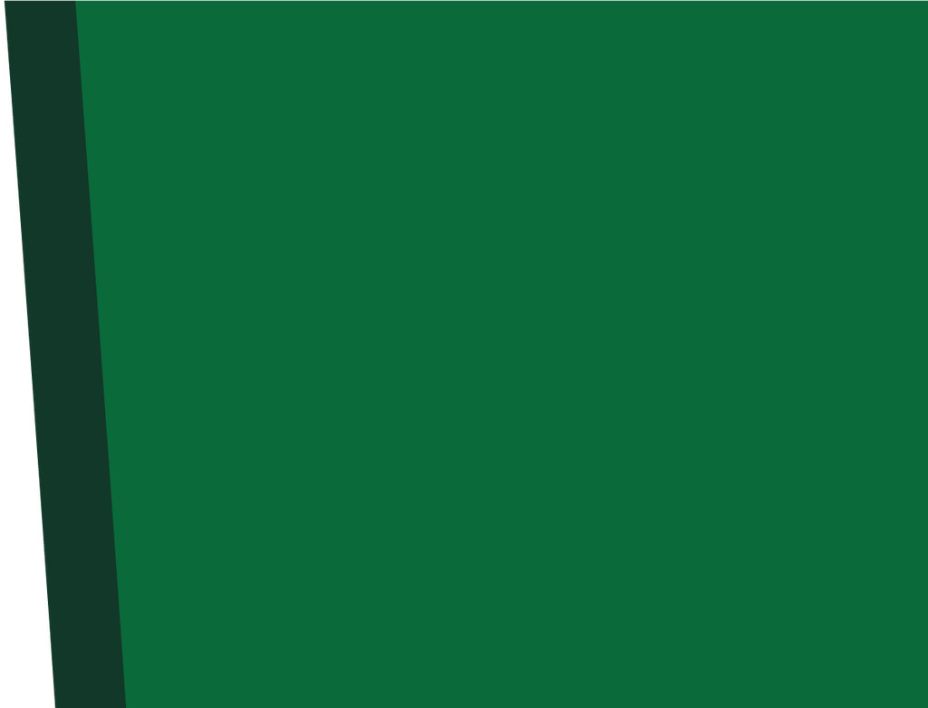 RS01-15_97 x 21_02