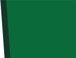 RS01-15_97 x 21_02