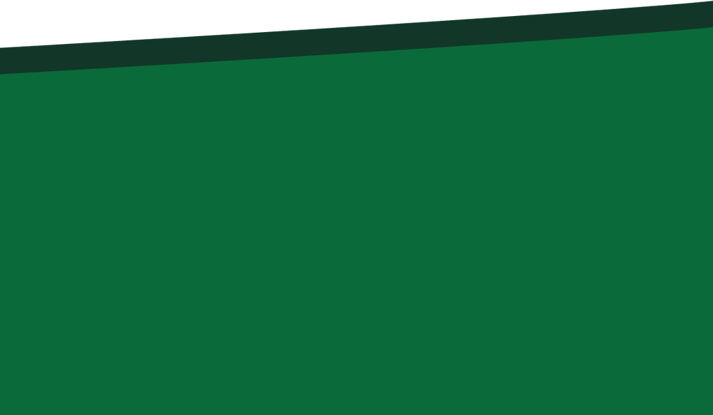 RS02-45_57 x 26_44