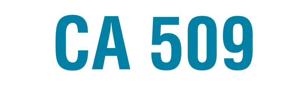 37-3605 CA 509-9_00 x 2_50