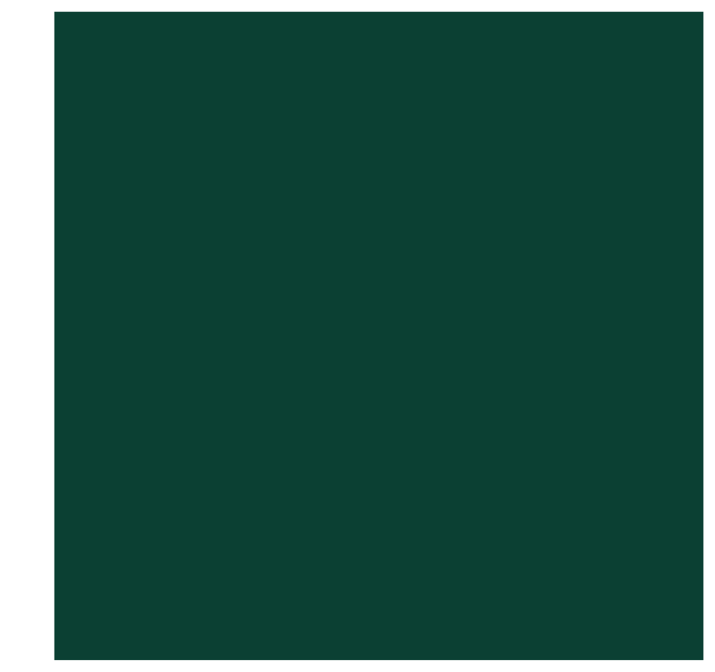 CSRS06-5_00 x 5_00