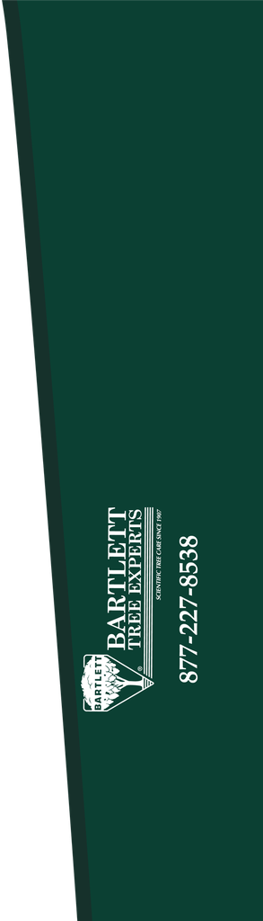 RS01-102_01 x 29_00