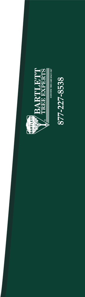 CS01-102_01 x 29_00