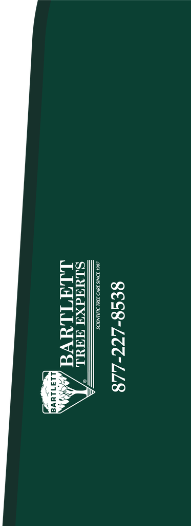 CS01-67_47 x 24_57