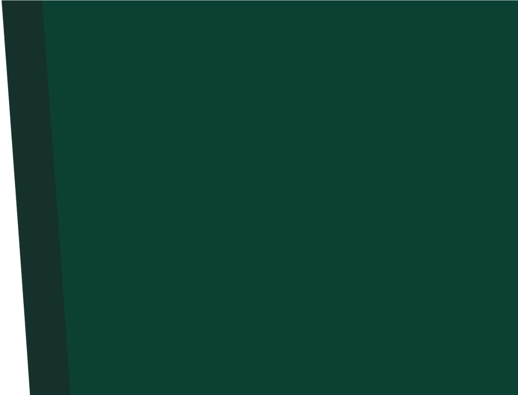 RS01-15_97 x 21_02