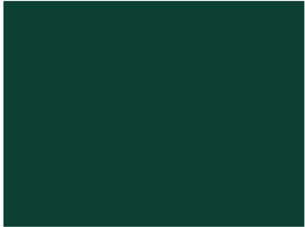 RSCS05-36_67 x 27_44
