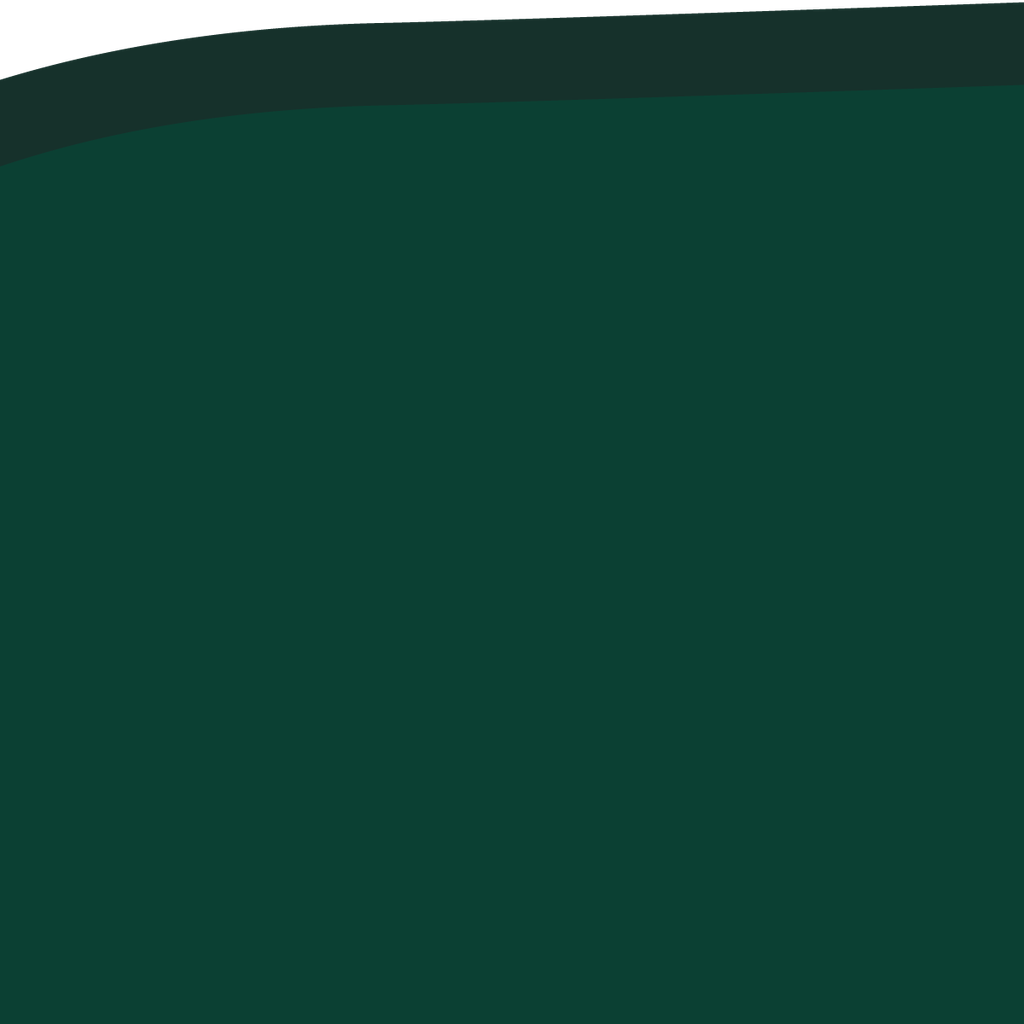 RS01-19_66 x 19_66