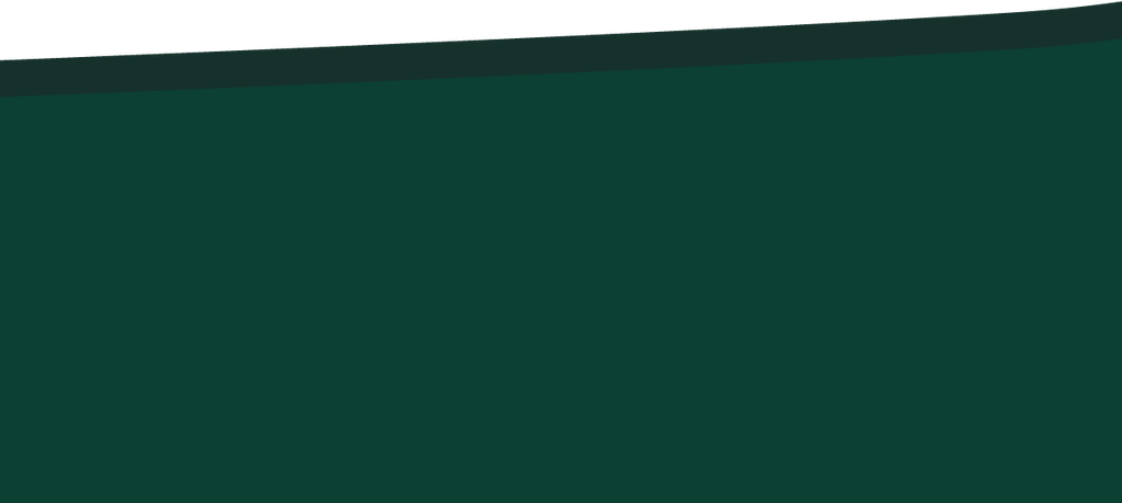 RS03-48_87 x 21_79