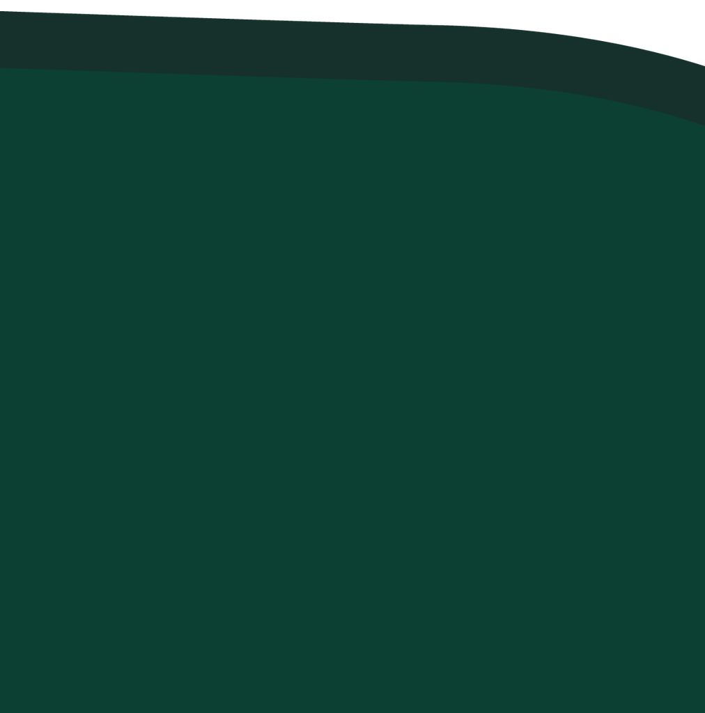 CS01-19_66 x 19_66