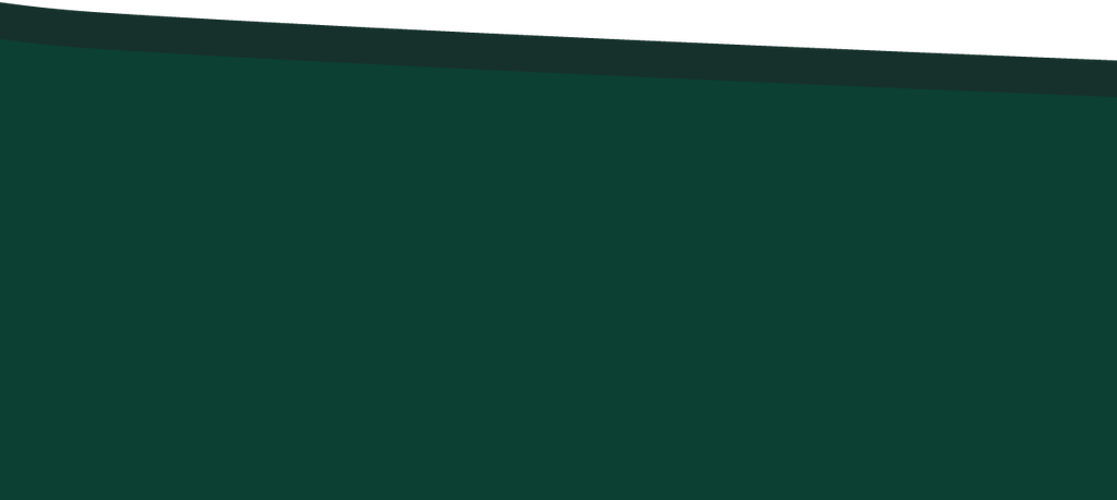 CS03-48_87 x 21_79