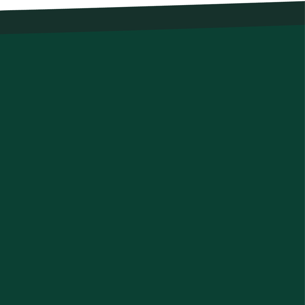 RS01-21_04 x 21_04