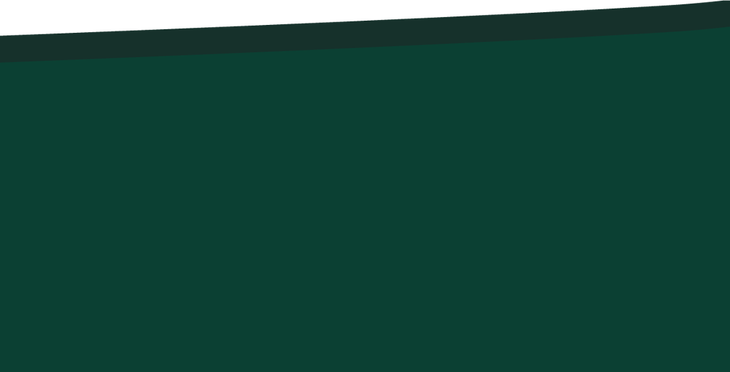 RS03-44_99 x 22_83