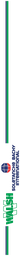 SBI Driver Side Logo and Stripe