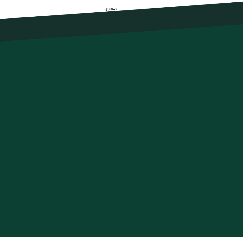RS01-17_53 x 17_09