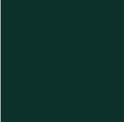 CSRS5-31_54 x 32_02