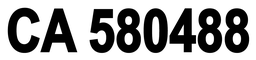 LicNum-10_94 x 2_00