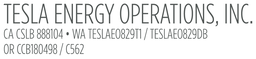 RS TESLALIC Set 5-25_00 x 5_55