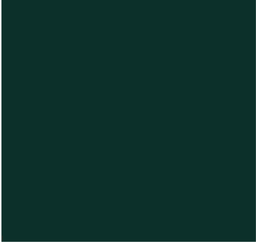 RS03-31_65 x 33_34